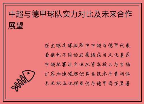 中超与德甲球队实力对比及未来合作展望